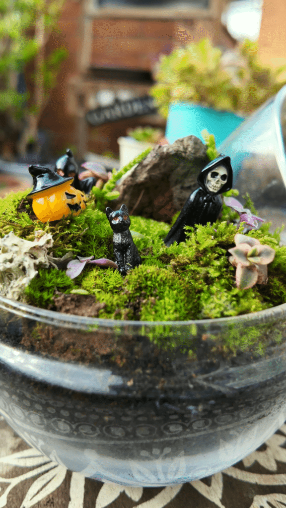 Microvideo de un terrario personalizado